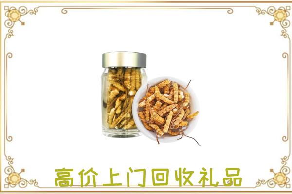 临沧市周边回收虫草